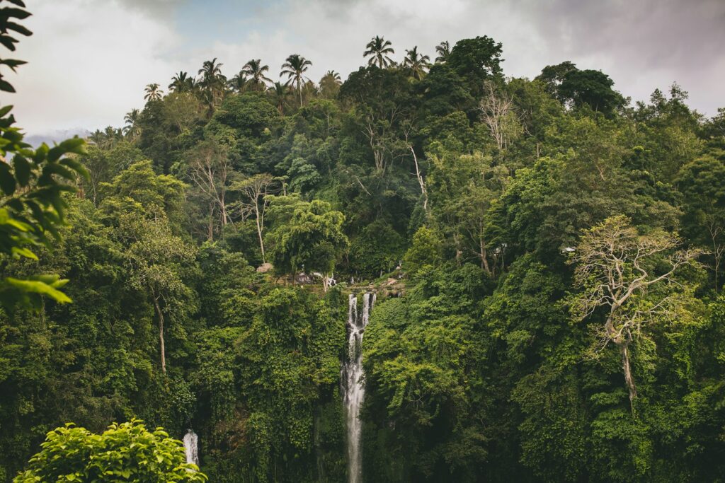Air Terjun Lapopu Sumba: Wisata Alam ke Air Terjun Paling Mengesankan di NTT