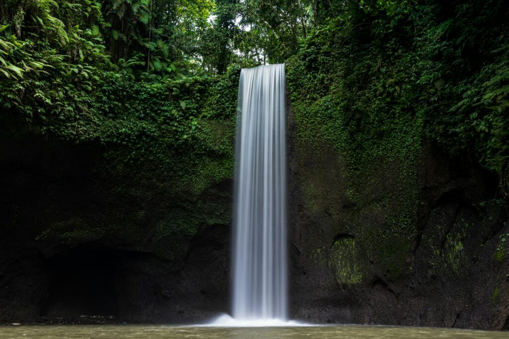 a large waterfall in the middle of a forest