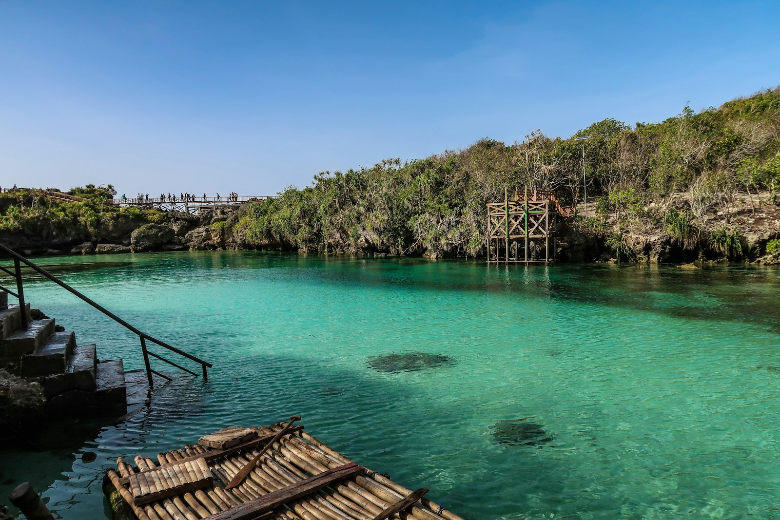 Konda Lake East Sumba: Birdwatching at Sumba’s Hidden Waterway