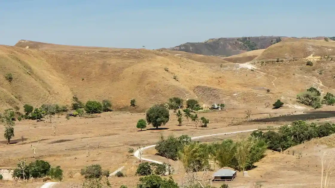 East Sumba Travel Guide: Waingapu, Walakiri & Ikat Villages