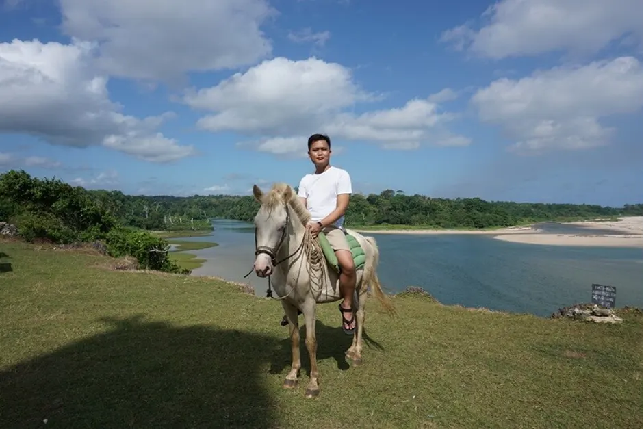 The Sandlewood Horse of Sumba: A Living Symbol of Marapu Culture