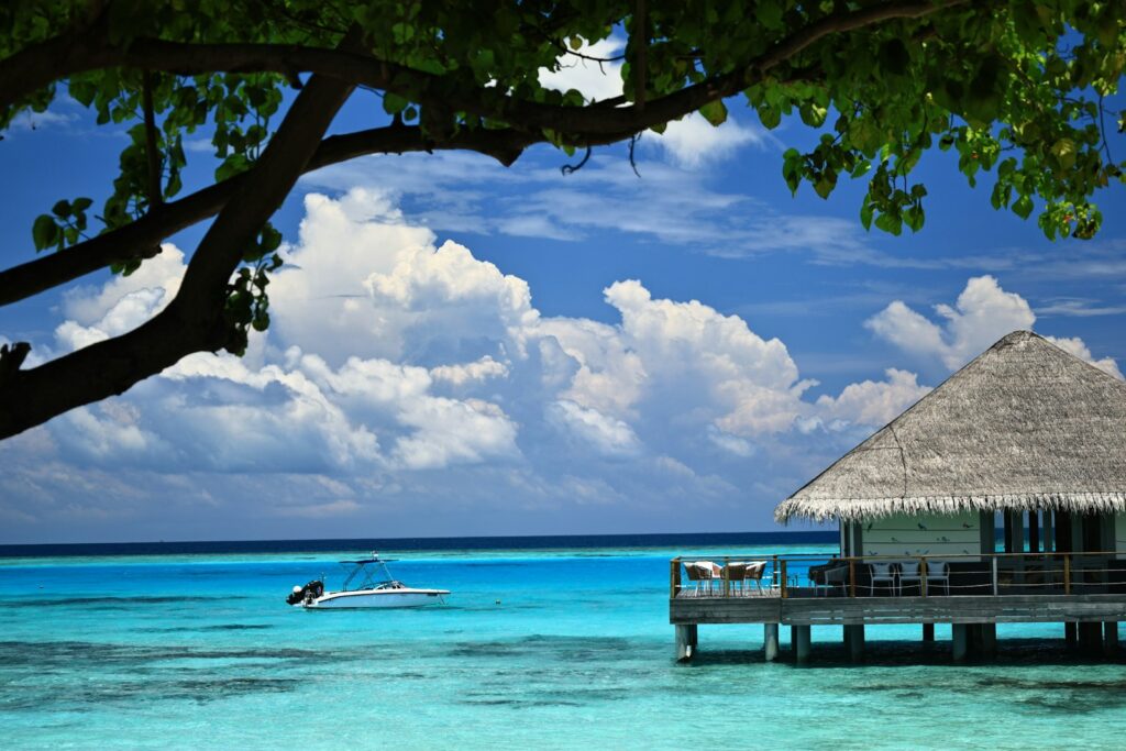 Malaria in Sumba: Health Advice for Private Tour Visitors