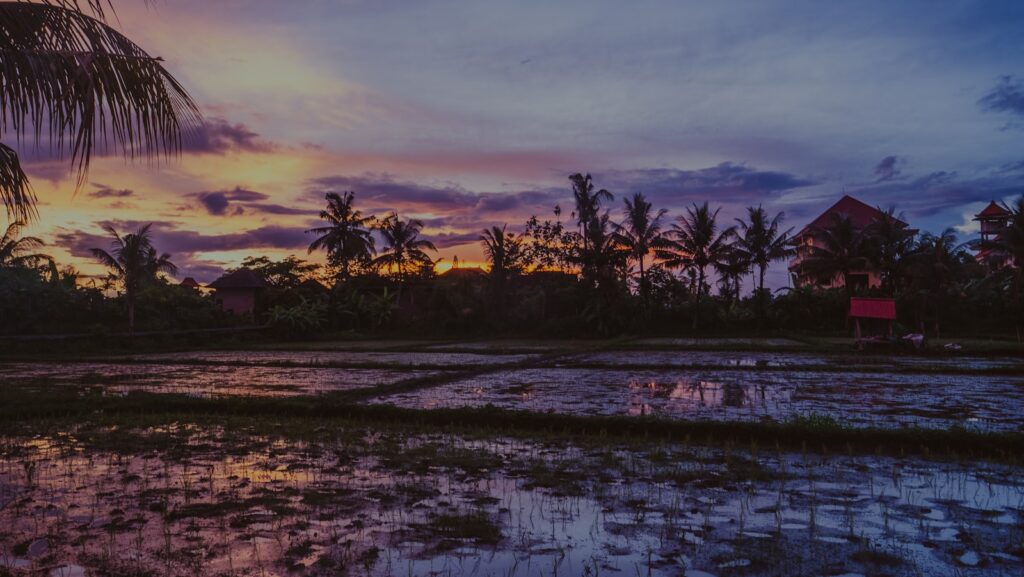 Tenun Ikat Sumba: Tour Desa Pengrajin Kain Sumba Timur