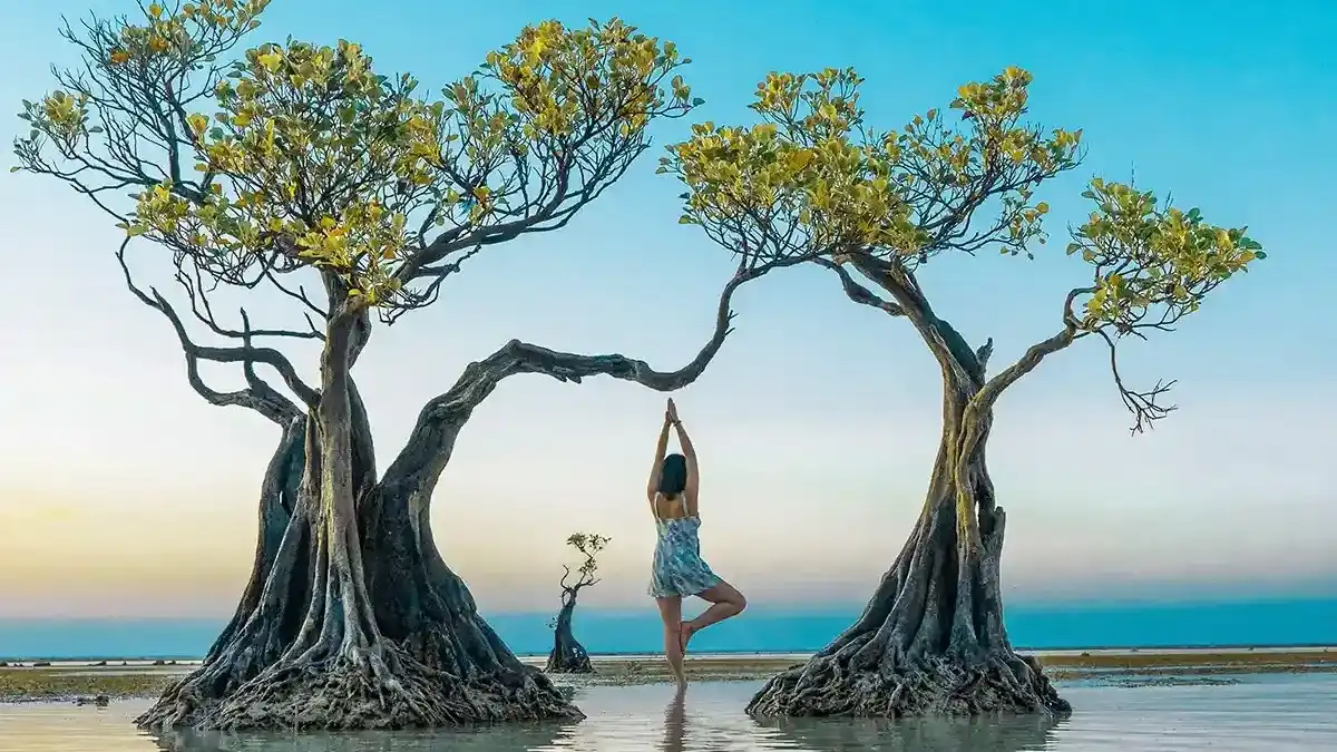 Sumba vs Flores, Lombok & Komodo: Which Eastern Indonesia Island Is Right for You?
